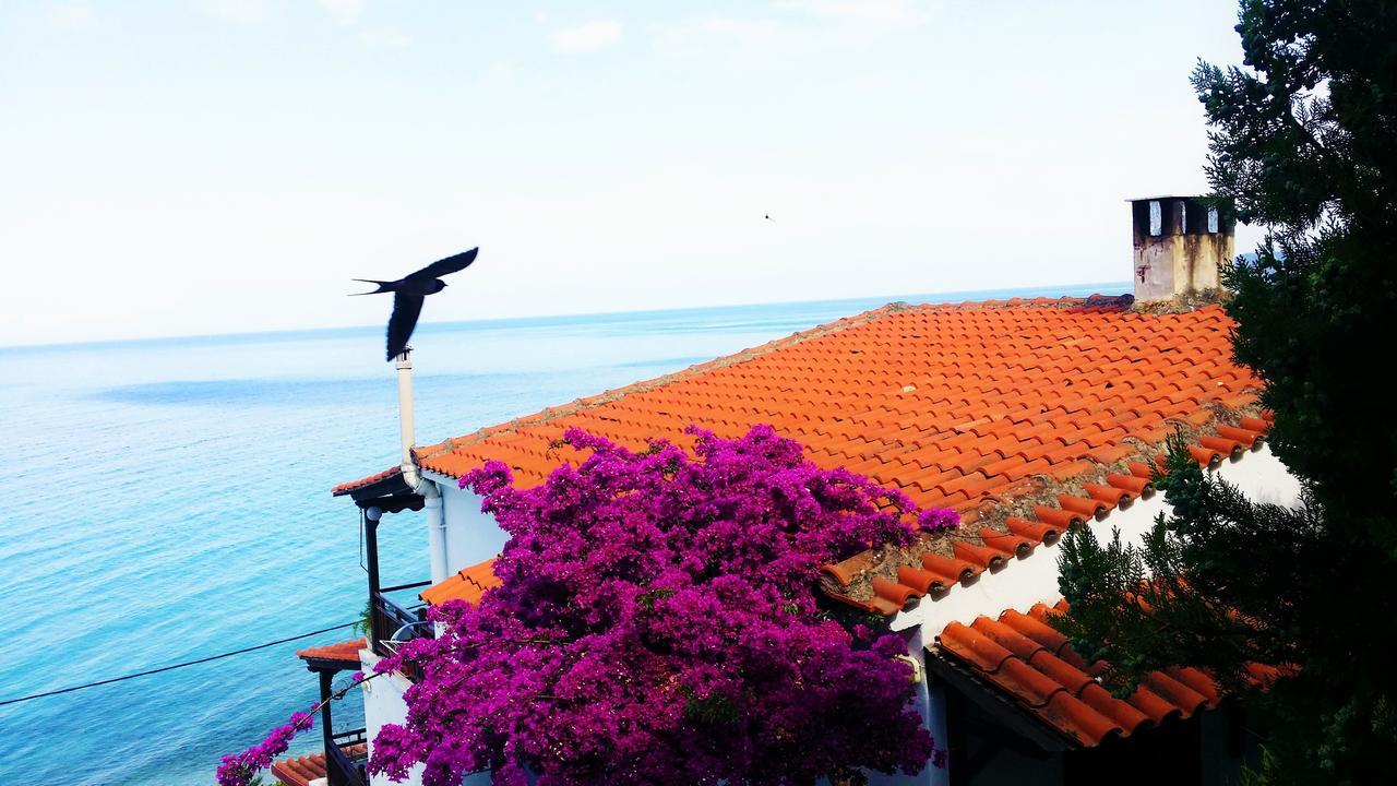 Acrogiali Sunshine Villa Siviri Exterior photo